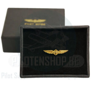 Pilot Wings Small Gold